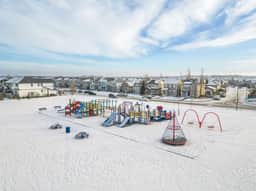 Blue Moon | Playground | Backyard | Pet Friendly - Image 5