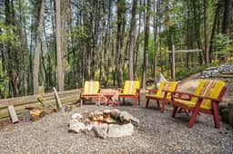 Dorothy in the Woods | Fire Pit | Fireplace | Yard - Image 3