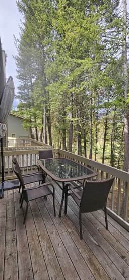 Golden Summit | Air Hockey | Wood Fireplace | Pets - Image 2