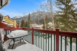 The Liftline | Toby Chair/Gondola | Hot Pools/Tubs - Image 4