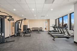 The Nile | Gym | Downtown | UG Park | Bow River - Image 4