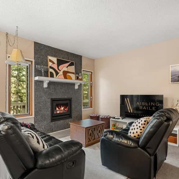 Golden Summit | Air Hockey | Wood Fireplace | Pets - Image 1