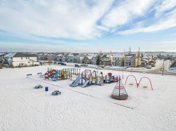 Blue Moon | Playground | Backyard | Pet Friendly - Image 5
